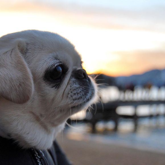 Meet your Posher, Kayla - Picture 1 of 1